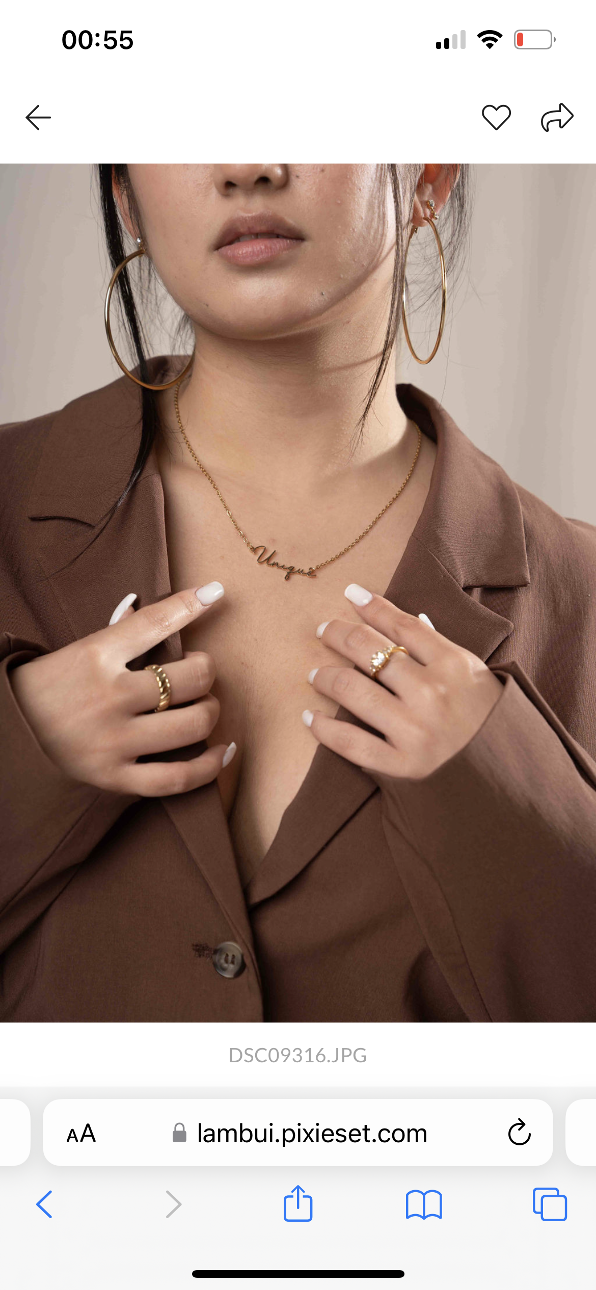 ARIA RING